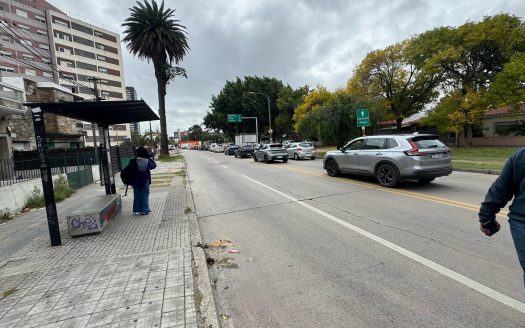 ALQ. LUIS ALBERTO DE HERRERA 3285/13